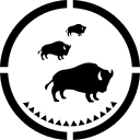 NATIVE AMERICAN HEALTH CENTER INC