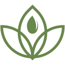 NativeSeed Group logo