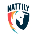 Favicon of Nattily