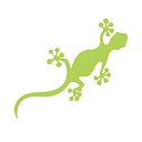 Natura Pacific logo