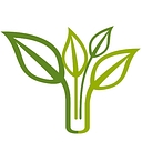 Natural Juices & Vitamins Ltd logo