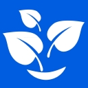 Natural Smiles logo