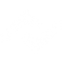 Natural Solar logo