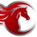 Natural Way Chiropractic logo