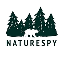 Favicon of NatureSpy