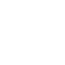 Nautilus