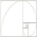 nautilussignandfabrication.com logo