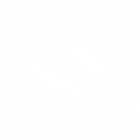 Navantia Australia logo