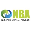 NB Advisors logo