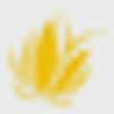 Naturally Beautiful Plant Products, L.L.C. logo