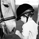 National Center For Equine Fac