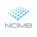 Ncimb Ltd logo