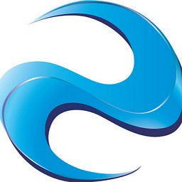 NuVizz Consultancy Services, Inc. logo