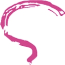 Neurological Council Of Western Australia logo
