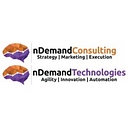 Ndemand Consulting Llc logo