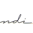 Ndi (Network Documentation And Implementation Inc) logo