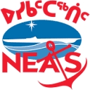 Neas Group logo