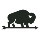 Nebraska Bison logo