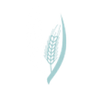 NEEDMOR FUND FOR SOCIAL JUSTICE logo