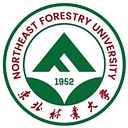 Northeast Forest University Logo