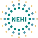 Nehi (Network For Excellence In Health Innovation) logo