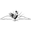 The Nell Newman Foundation Inc logo