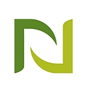 Nellson Llc logo