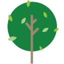 Nelson Family Dental logo