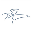 The Nelson Angel Women's Loan Fund logo