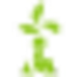 NEMAT logo