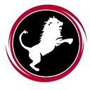 Nemean Solutions, LLC logo