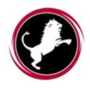 NEMEAN SOLUTIONS LLC