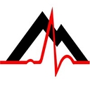 Northeast Monitoring Inc. logo