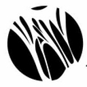 Neochord logo