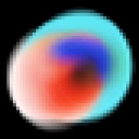 Neotype