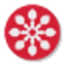 Neowiz holdings