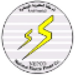 National Electric Power Company logo