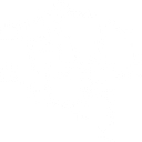 NerveAlive logo