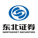 Northeast Securities logo