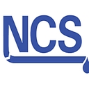 Neset Consulting Services logo