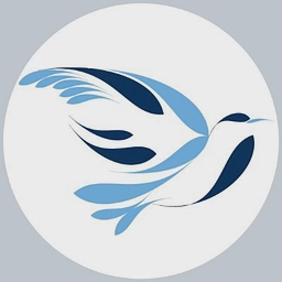 Ness M Care Services logo