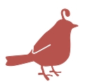 Nest Dc logo