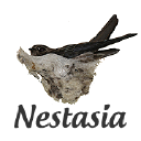 Nestasia