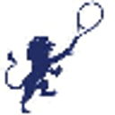 New England Senior Tennis Foundationinc logo