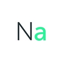 Net Ability logo