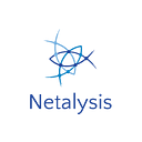 NETALYSIS LLC logo