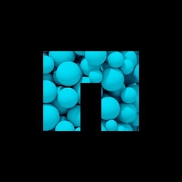 NetApp Inc logo