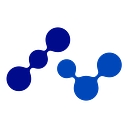 Netchem Inc. logo