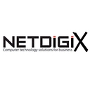 Netdigix Systems Inc logo