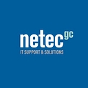 Netec Global Consulting logo